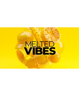Native Instruments Melted Vibes - MPC Edition Virtual Instruments & Samplers