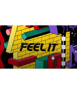 Native Instruments Feel It - MPC Edition Strumenti virtuali & sampler