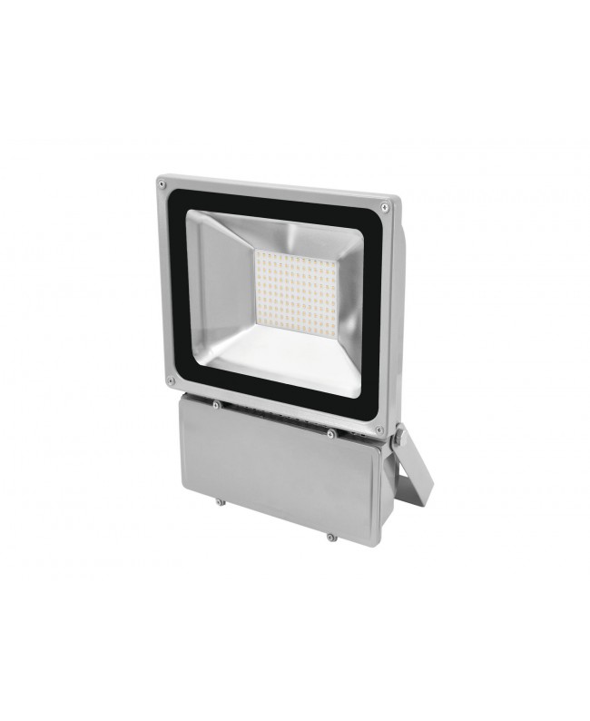 Eurolite LED IP FL-100 6400K Faretti stradali e da giardino