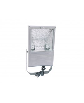 Eurolite Outdoor Spot 150W WFL silver A Garden & Street Lights