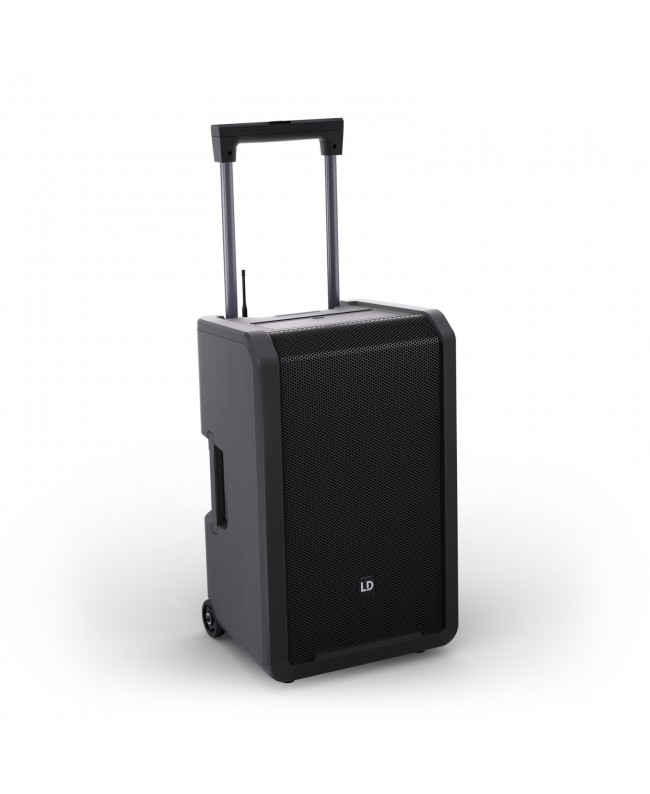 LD Systems ANNY 12 BPH B8