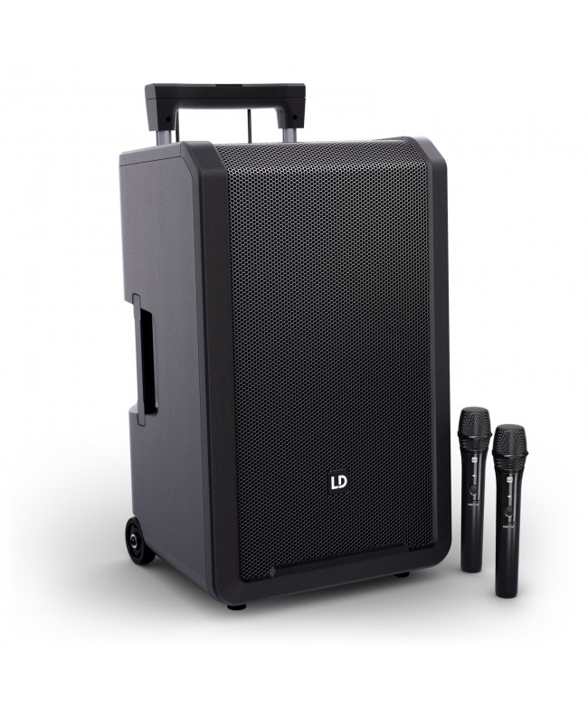 LD Systems ANNY 12 HHD2 B6
