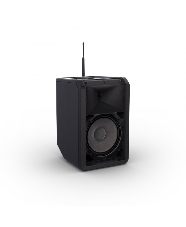 LD Systems ANNY 8 BPH B6