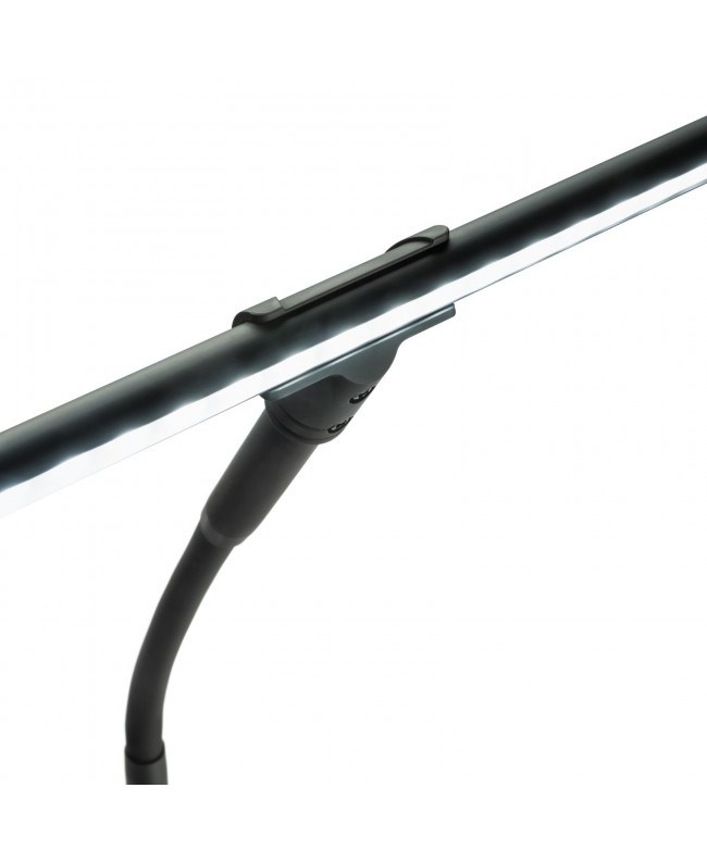 Gravity LED PLT 2B Lamps