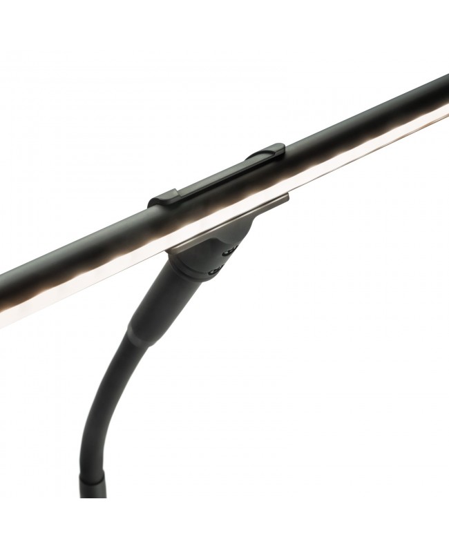 Gravity LED PLT 2B Lamps