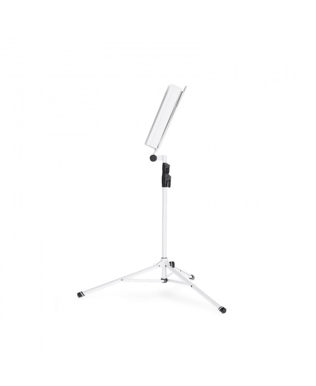 Gravity NS 441 W