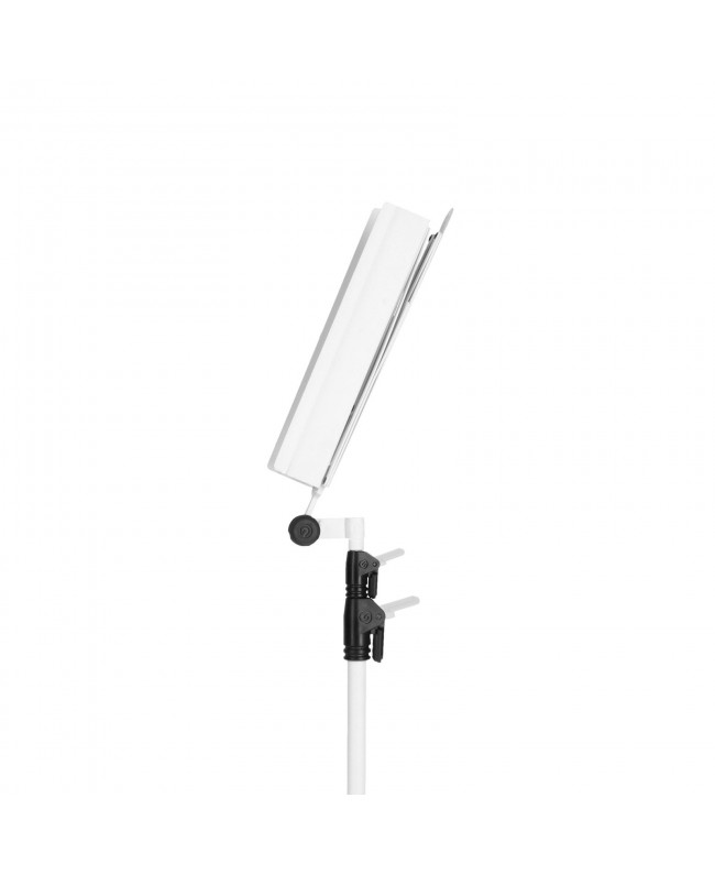 Gravity NS 441 W
