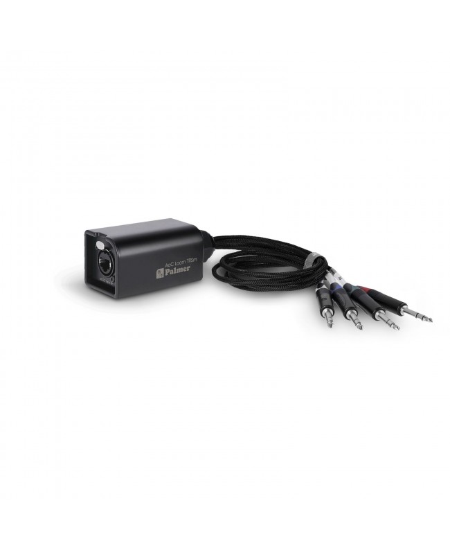Palmer AoC Loom TRSm CATLink multicore