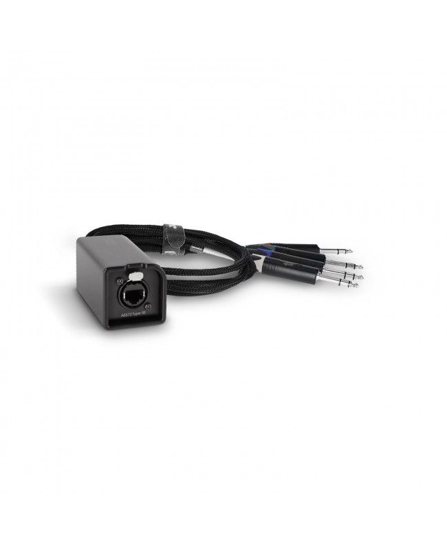 Palmer AoC Loom TRSm CATLink multicore