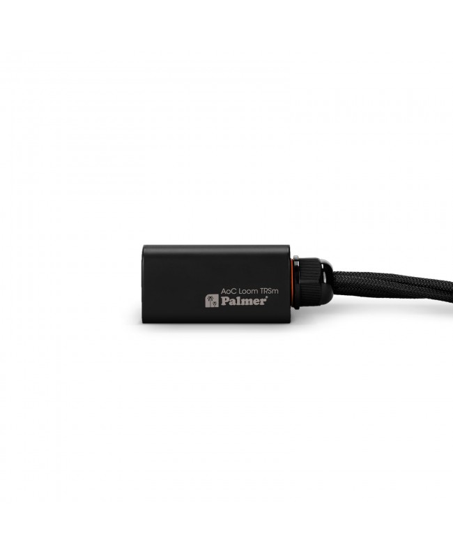 Palmer AoC Loom TRSm CATLink multicore