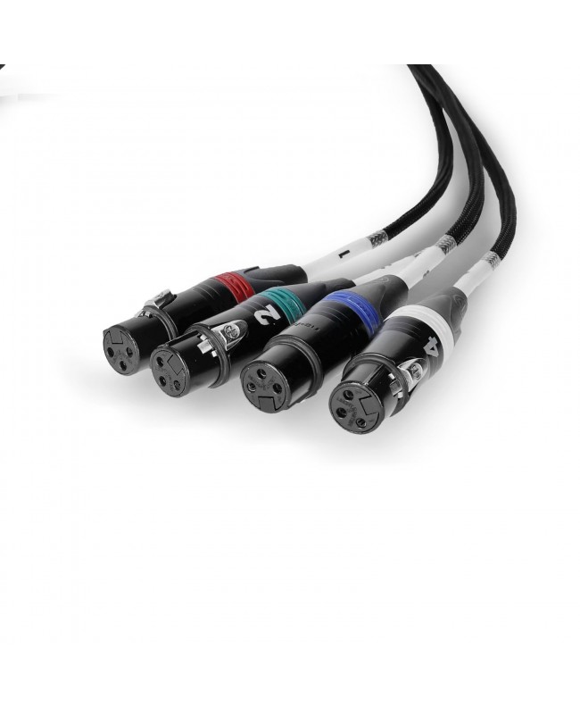 Palmer AoC Loom XLRf CATLink multicore
