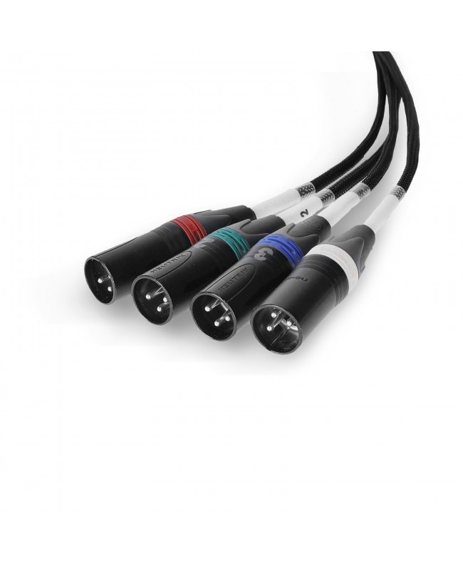 Palmer AoC Loom XLRm CATLink multicore