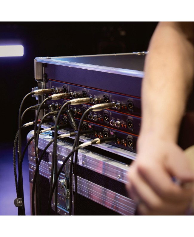 Palmer BRIDGE 4A+ CATLink multicore