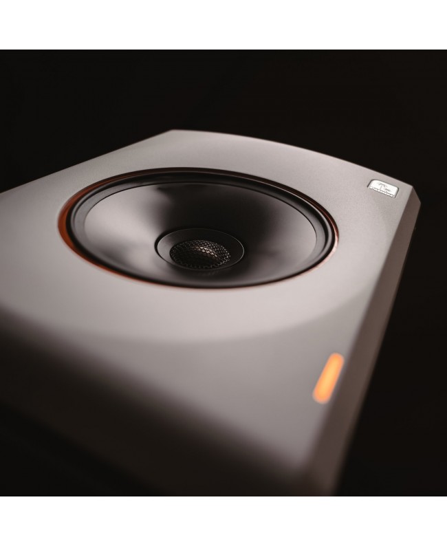 Palmer ORBIT 11 W Monitor attivi Nearfield