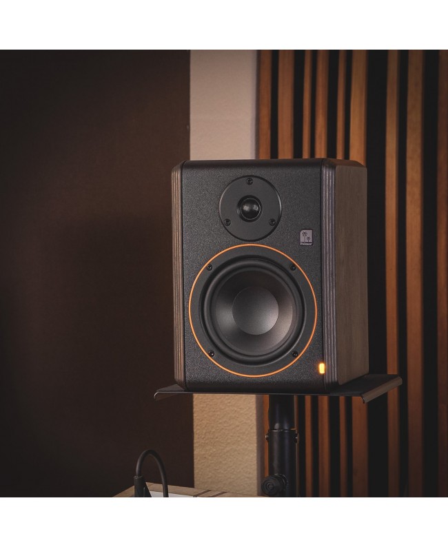 Palmer STUDIMON 5 Aktive Nearfield Monitore