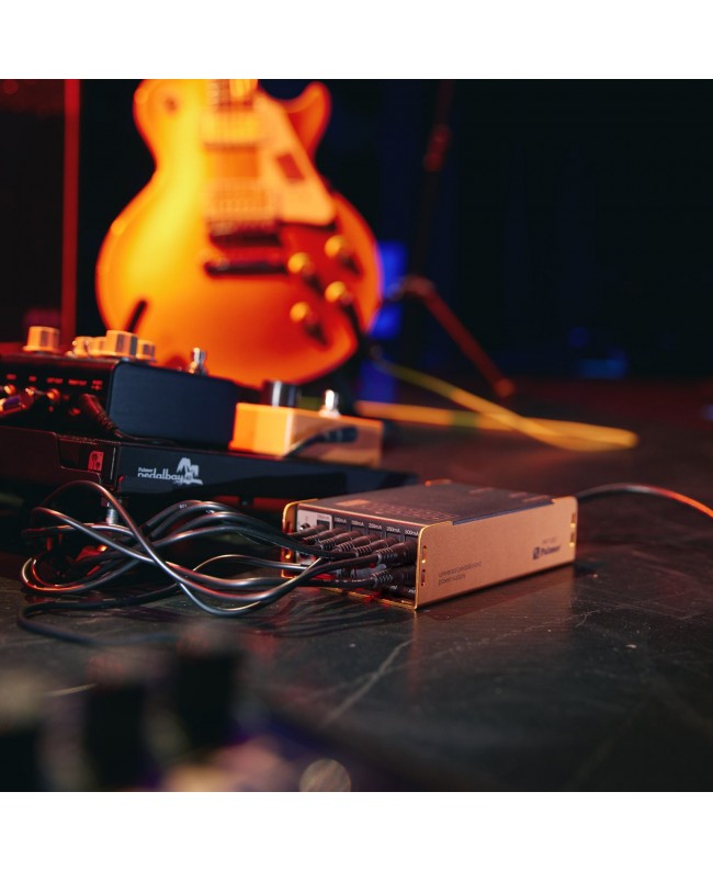 Palmer PWT 12 IEC Pedalboard