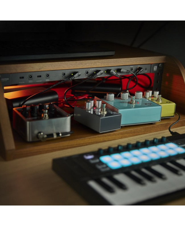 Palmer WT PB 40 RK Pedalboards