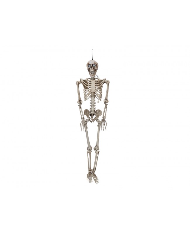 Europalms Halloween Figur Skelett formbar, animiert, 160cm Saisonartikel