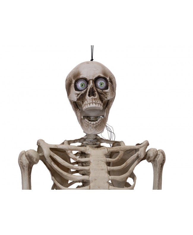 Europalms Haloween Figure Skeleton moldable, animated, 160cm