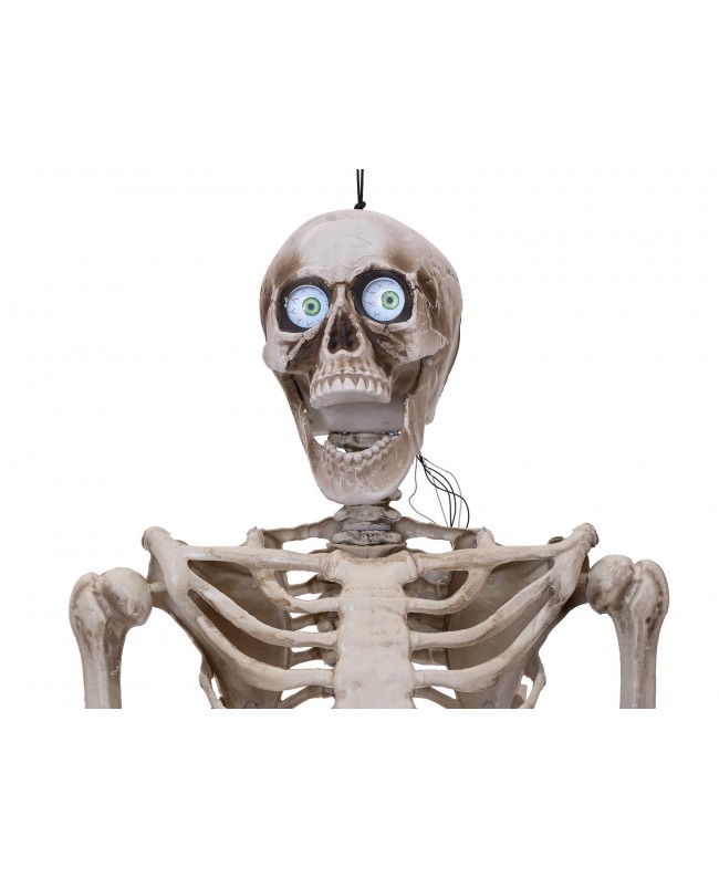 Europalms Halloween Figur Skelett formbar, animiert, 160cm