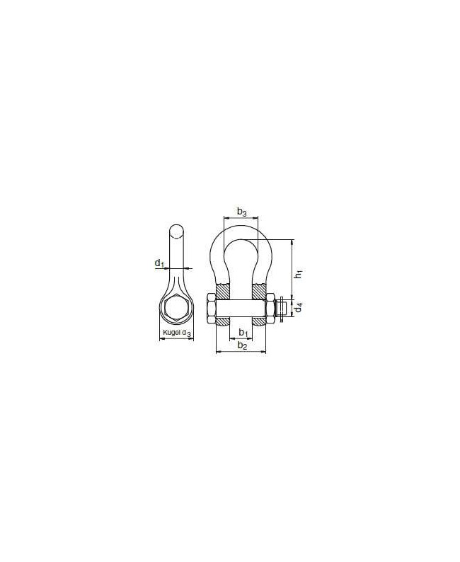 RIGGATEC Shackle 3/4 | WLL 4,75t | Nut and Cotter