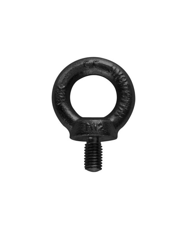 RIGGATEC Eyebolt M10 | black | WLL 230kg