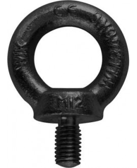 RIGGATEC Eyebolt M12 | black | WLL 340kg