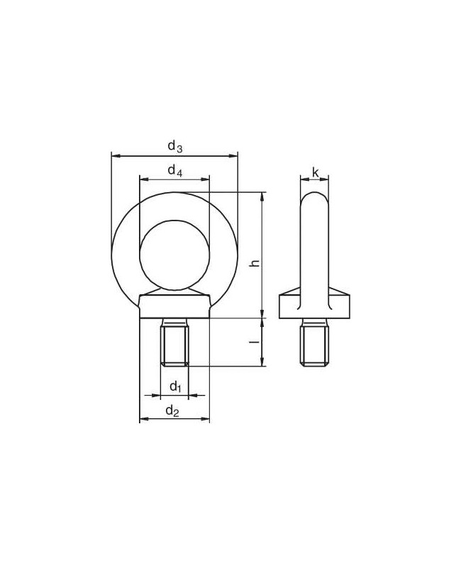 RIGGATEC Eyebolt M8 | black | WLL 140kg
