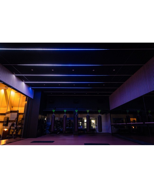 ARTECTA Havana Neon 1018 - Side Bending - RGB - IP67 Lichtschläuche