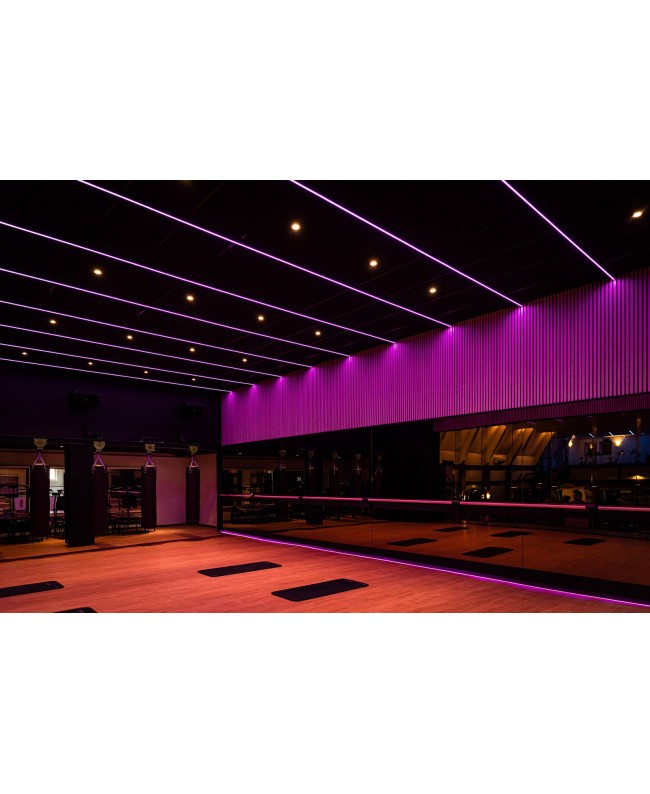 ARTECTA Havana Neon 1018 - Side Bending - RGB - IP67 Lichtschläuche