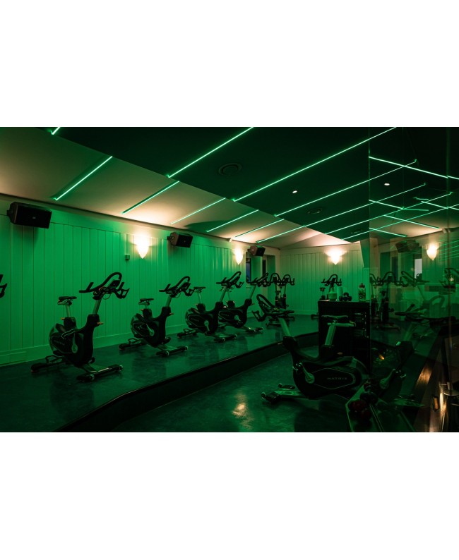ARTECTA Havana Neon 1018 - Side Bending - RGB - IP67 Lichtschläuche