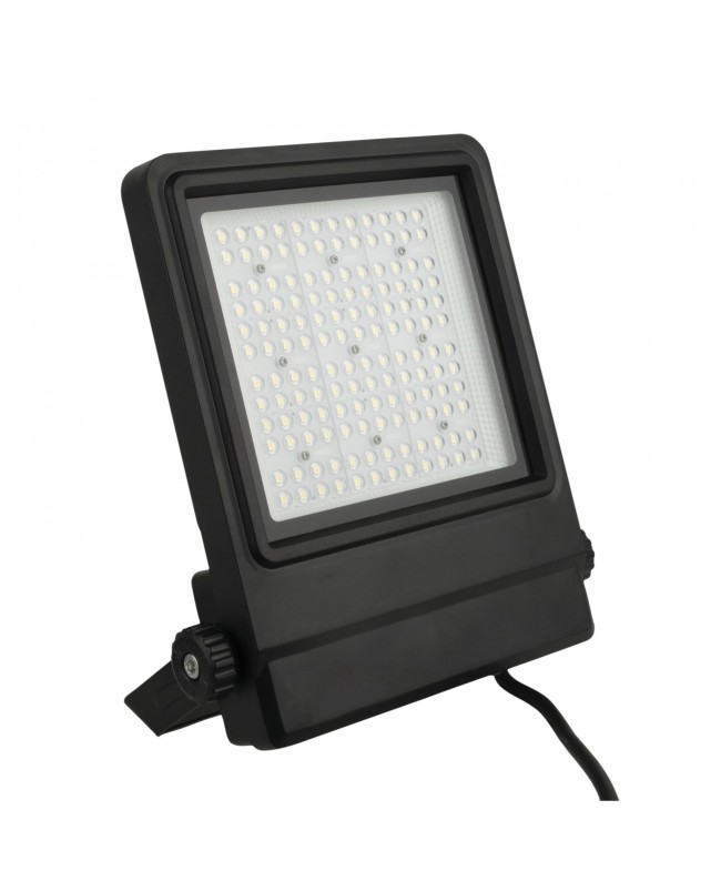SHOWTEC Cedda 100 100W Garten- und Straßenlampen