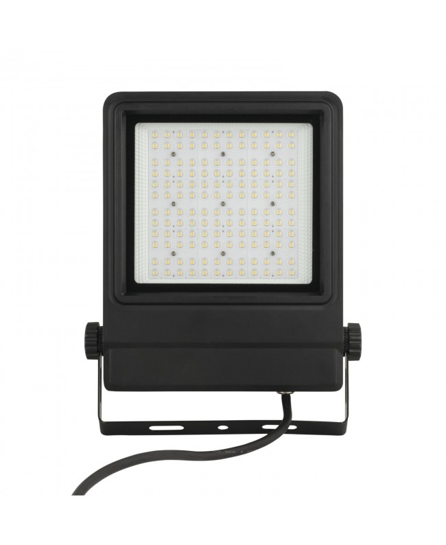 SHOWTEC Cedda 100 100W Garten- und Straßenlampen