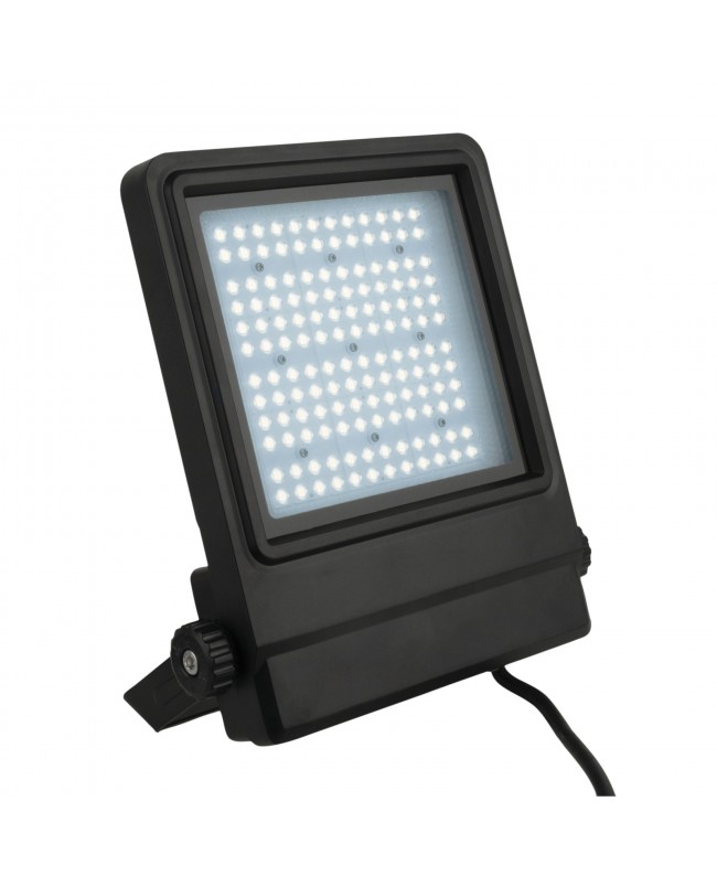 SHOWTEC Cedda 100 100W Garten- und Straßenlampen
