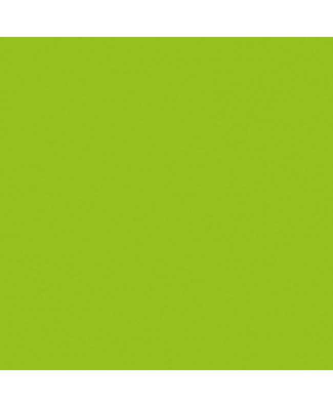 SHOWGEAR Handheld Confetti Cannon Pro 80 cm, light green, flameproof and biodegradable