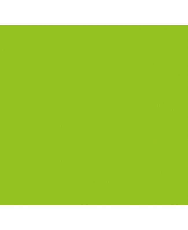 SHOWGEAR Handheld Confetti Cannon Pro 80 cm, light green, flameproof and biodegradable