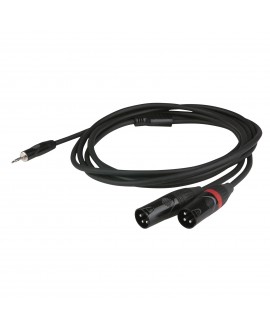 DAP FLX46 - stereo mini-jack to 2 XLR/M 3P corpo jack a incasso - 6m