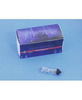 GE A1/249 240V/300W G-6,35 50h