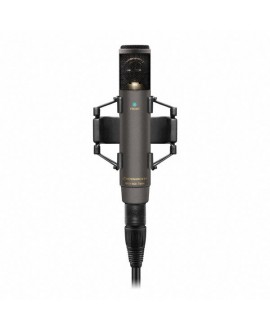 Sennheiser MKH 800 TWIN NX Microfoni a condensatore con diaframma piccolo