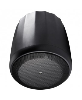 Jbl CONTROL 60PS/T Diffusori da sospensione