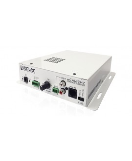Ecler ECA120HZ Endstufen