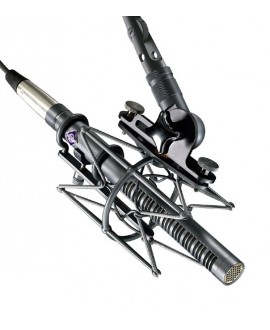 Neumann KMR 81 i mt Kleinmembran-Mikrofone