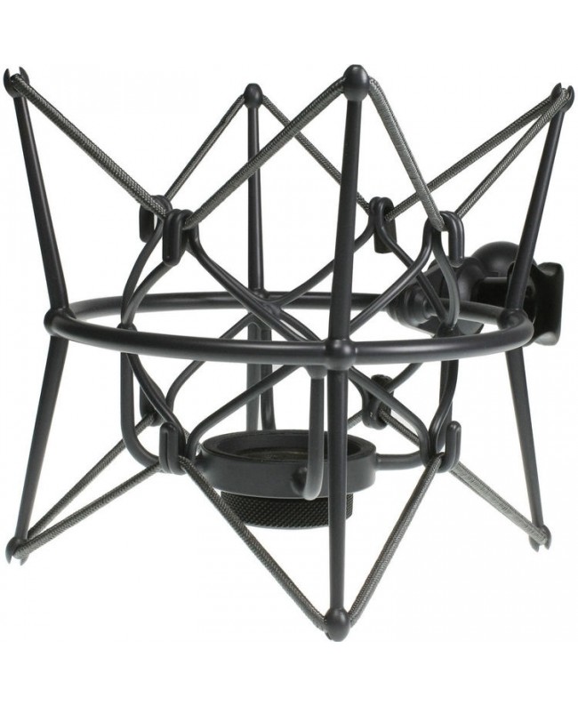 Neumann EA 2 mt Shock Mounts