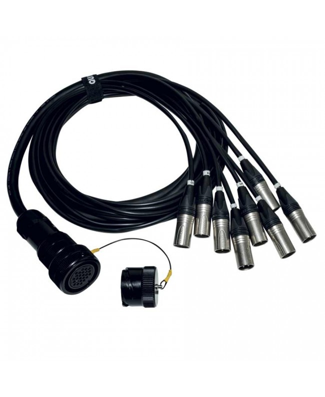 Quik Lok ITPRO/SY25F8M-2,5 Frusta 8 Canali Syntax F Cannon XLR M 2,5 mt