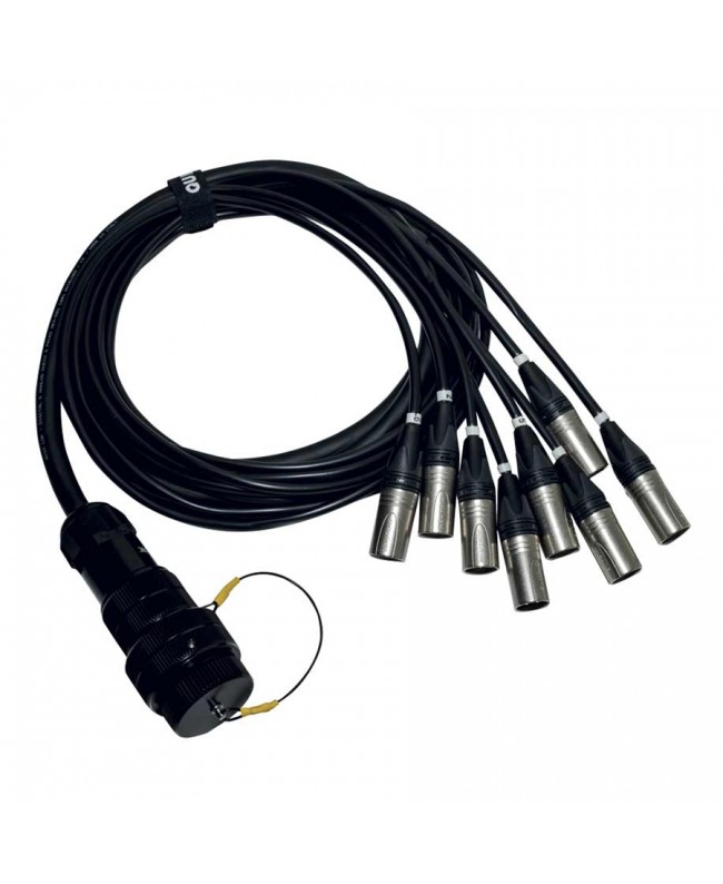 Quik Lok ITPRO/SY25F8M-2,5 Frusta 8 Canali Syntax F Cannon XLR M 2,5 mt