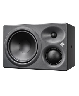 Neumann KH 310 II R