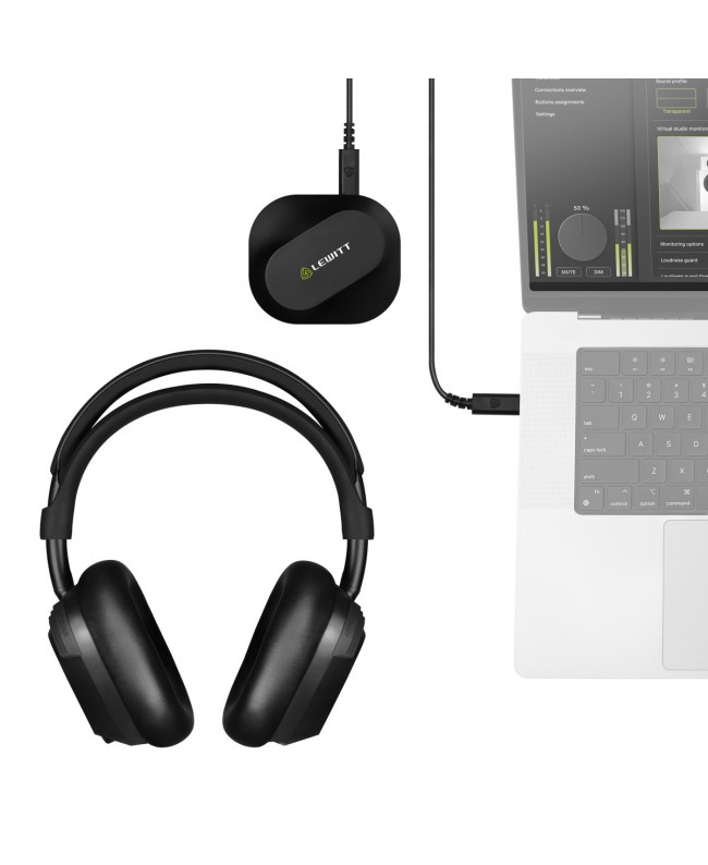 LEWITT LW6