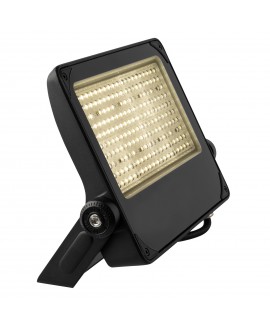 SHOWTEC Coredo Floodlight 100 W LED Washer