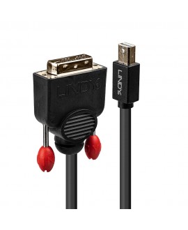 LINDY Mini-DisplayPort-zu-DVI-Adapterkabel, 2 m