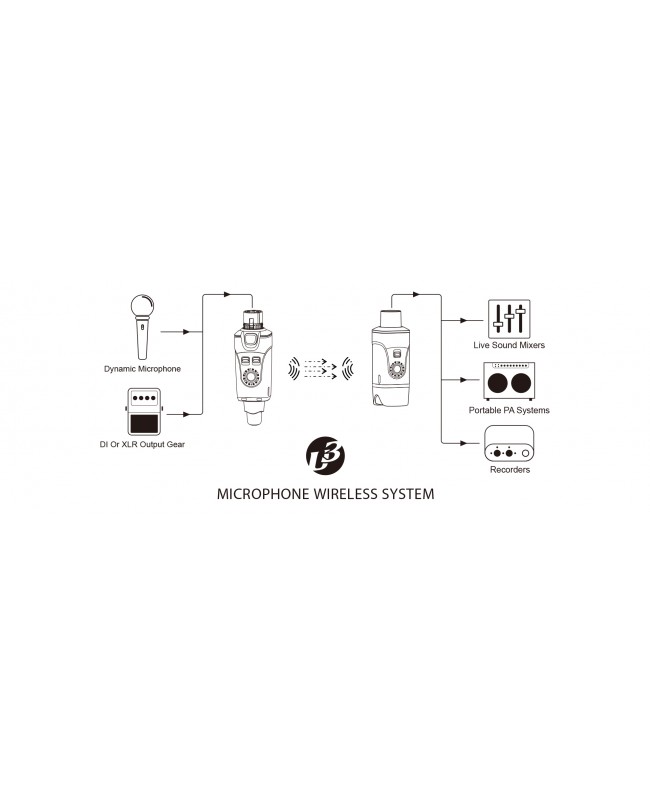 Xvive U3 Sistema wireless con trasmettitore palmare